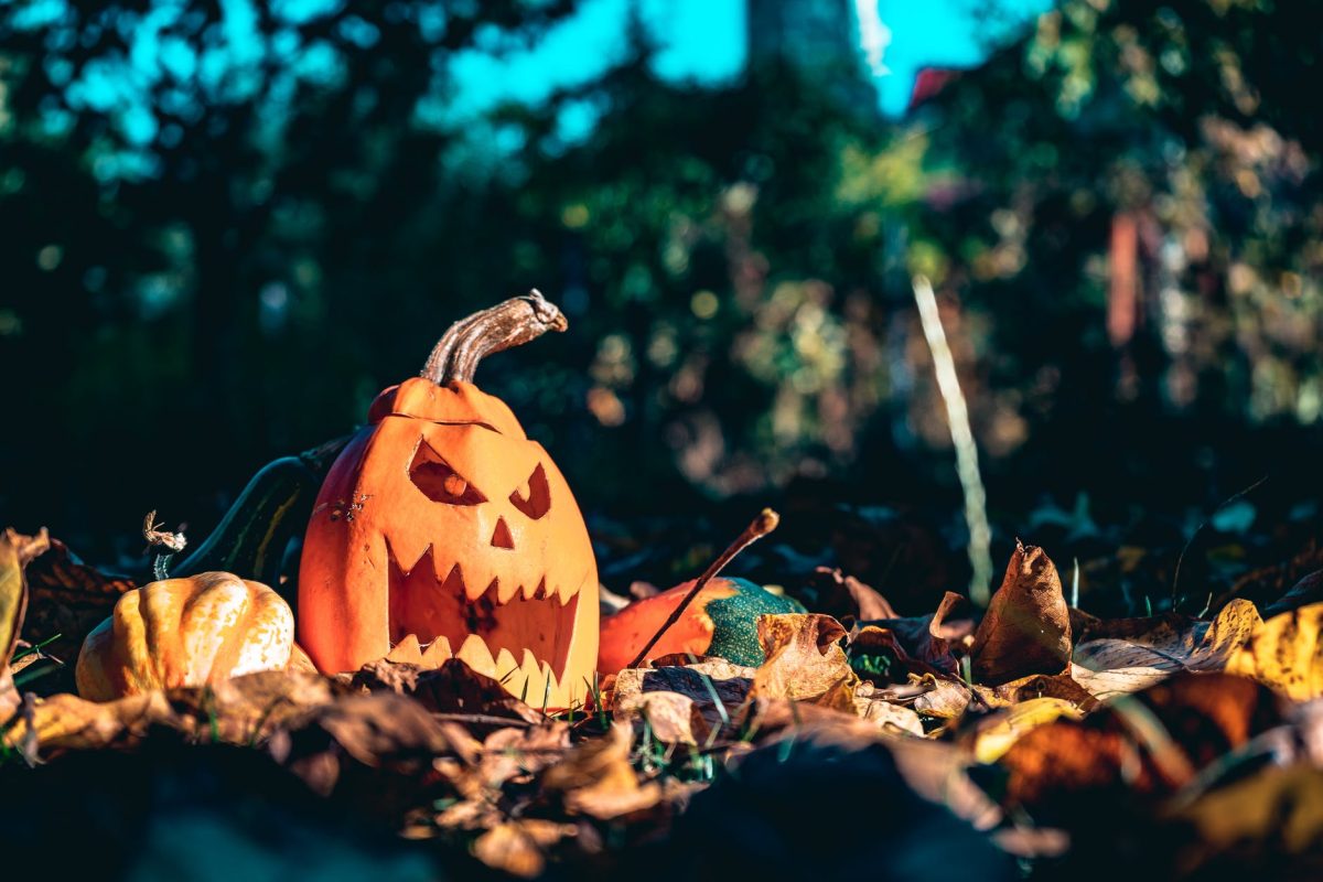 jack o lantern
