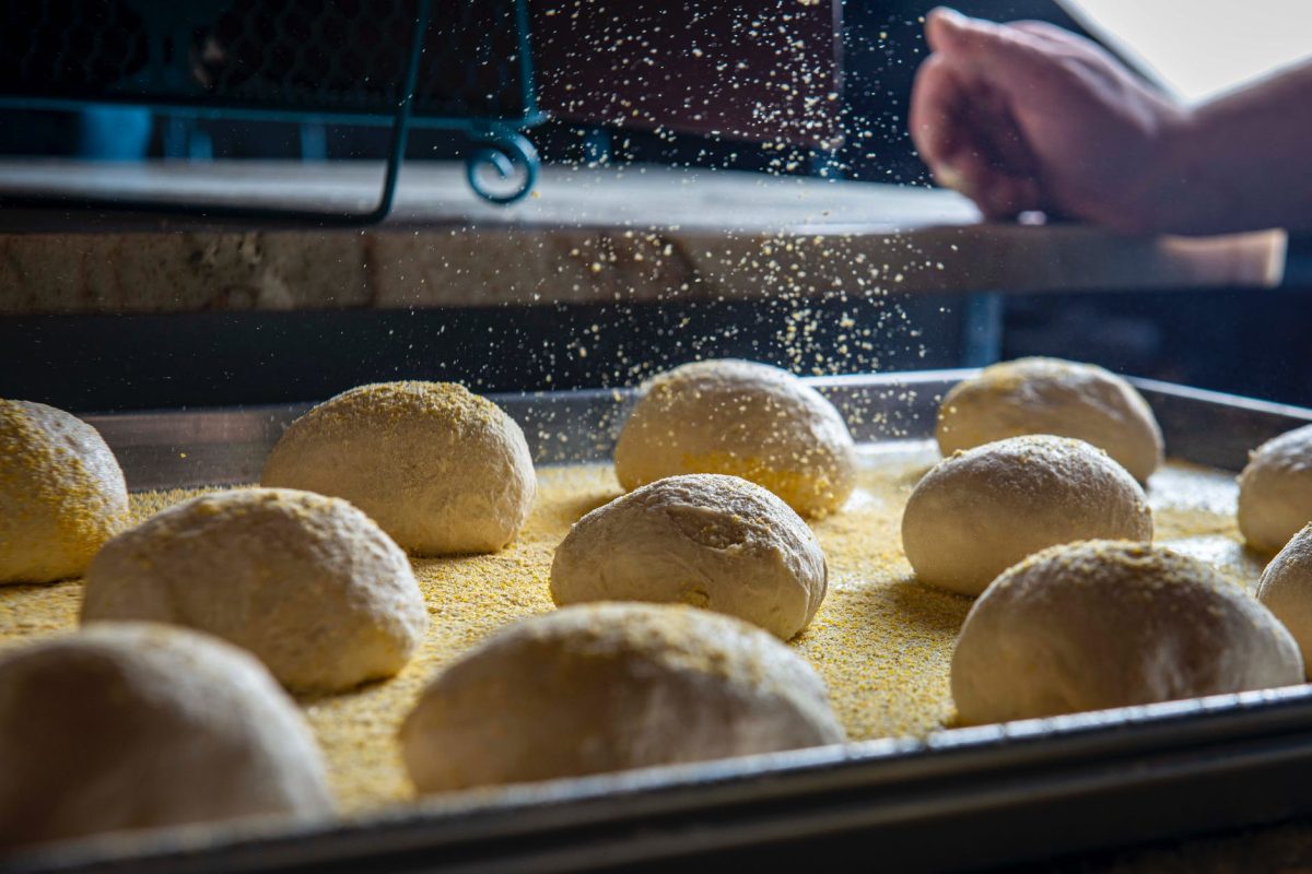 hamburger ekmeği, ekmek tarifi