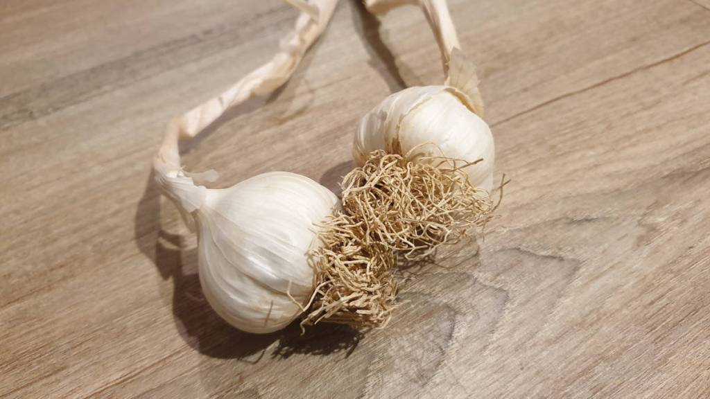 Sarımsak